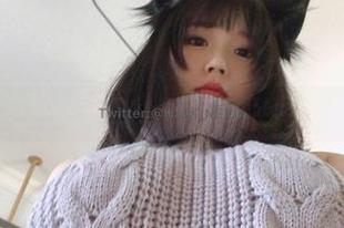是一只废喵了的2023圣诞图库，不仅高清，还能治愈你的心灵小缺口