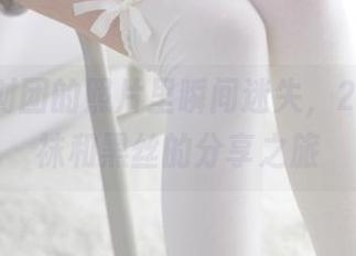 在森萝财团的照片里瞬间迷失，20D吊带袜和黑丝的分享之旅