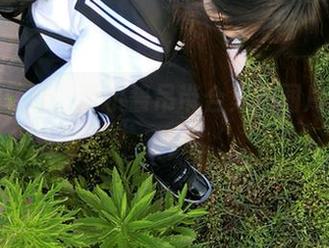 气氛太轻松，西尔酱吊带合集的图片真不想看？