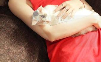 青豆客 – 雨婷goddess这组天使照，图片更新的时候有没有想过灵感来源？